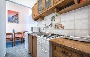 Kuchyň nebo kuchyňský kout v ubytování Apartment Tezak