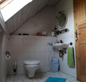 a bathroom with a toilet and a sink at Stierstall-Suite Pension Wahlenau in Wahlenau