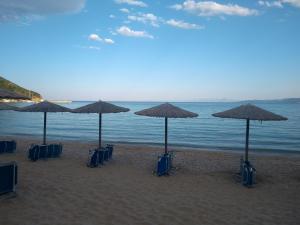 a group of chairs and umbrellas on a beach at Dodis Village in Platanias