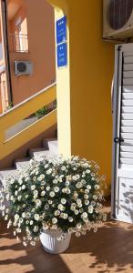 Fotografie z fotogalerie ubytování Apartment and room Hudoletnjak v destinaci Šilo