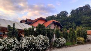 a house with white flowers in front of it at Smestaj na Drini in Bajina Bašta