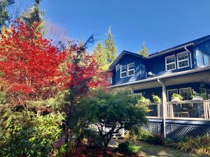 a blue house with red trees in front of it at Seafarers Bed & Breakfast in Tofino