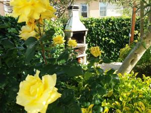 un jardín con flores amarillas y una casa de aves en Las Casas de Sofía en Cabanillas