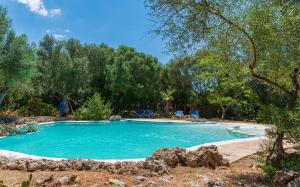 西內烏的住宿－薩卡薩羅特加酒店，一座树木繁茂的庭院内的游泳池