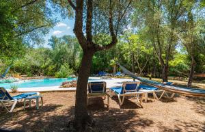 a hammock and chairs under a tree next to a pool at Sa Casa Rotja in Sineu