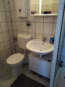 a bathroom with a toilet and a sink at Ferienwohnung mit Meerblick in Damp