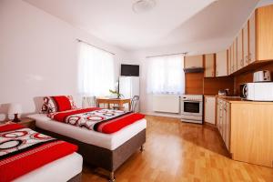 Kuchyň nebo kuchyňský kout v ubytování Apartmán Dominhaus