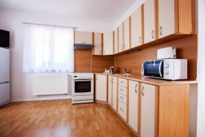 Kuchyň nebo kuchyňský kout v ubytování Apartmán Dominhaus + 8 fotografií