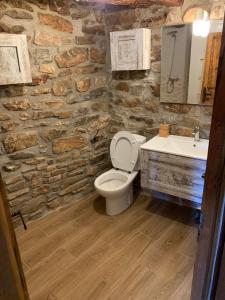 a stone bathroom with a toilet and a sink at Casa Marqueso in Figuerola de Orcau