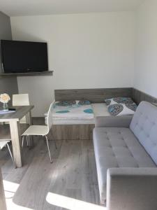 ヤストシェンビャ・グラにあるAmorのソファ、テーブル、テレビが備わる客室です。