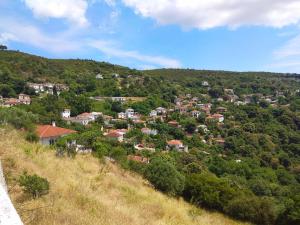 Príroda v okolí vily