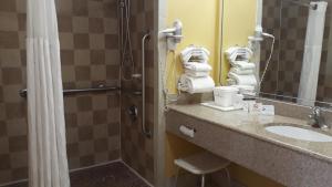 a bathroom with a sink and a shower and a mirror at Ramada by Wyndham Temple Terrace/Tampa North in Tampa