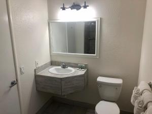 La salle de bains est pourvue d'un lavabo, de toilettes et d'un miroir. dans l'établissement Pelican Inn, à Monterey