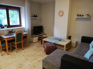 a living room with a couch and a table at Apartmán u Kartouzky in Dolany