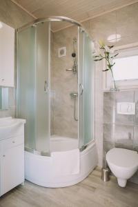 a bathroom with a shower with a toilet and a sink at Domki Bajkowe Wzgórze in Bobolin