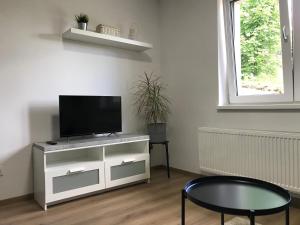 TV a/nebo společenská místnost v ubytování Apartmán NA KOPCI Krucemburk