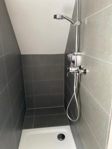 a shower with a shower head in a bathroom at Großherzögliches Jägerhaus in Bensheim