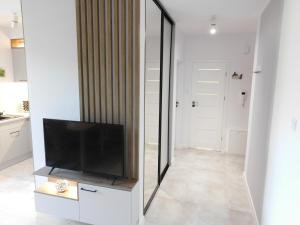 Televízia a/alebo spoločenská miestnosť v ubytovaní Apartament Zielone Wzgórze