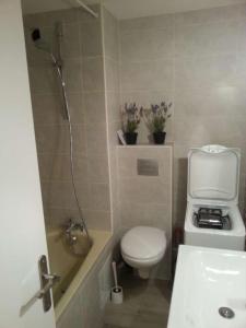 een badkamer met een toilet, een douche en een wastafel bij LE FONTAGNEL N°310 in Molines-en-Queyras