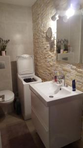 bagno con servizi igienici, lavandino e lavandino di LE FONTAGNEL N°310 a Molines-en-Queyras