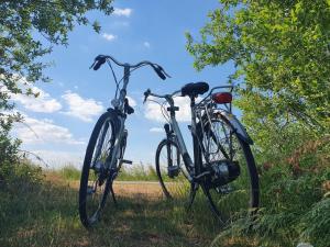 Jízda na kole v ubytování B&B De Donk nebo okolí