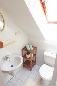a white bathroom with a sink and a toilet at Pension Dita - Adršpach in Teplice nad Metují
