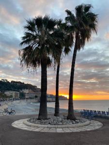 dos palmeras en la playa al atardecer en Room with a vue, en Niza