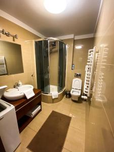 een badkamer met een wastafel, een douche en een toilet bij Apartament Przy Długosza in Sandomierz
