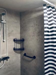 y baño con ducha y cortina de ducha. en Skrattande Ko, en Tingsryd