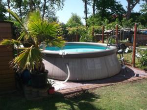 a hot tub in a yard with two palm trees at Haus am Wald in Guhrow