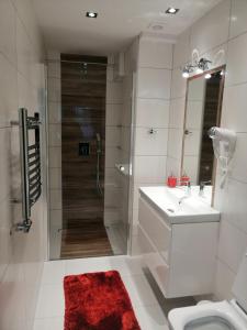 Kúpeľňa v ubytovaní Apartament Podwika