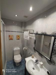 a bathroom with a toilet and a sink and a mirror at El Rinconcito de las Teñas in Ezcaray