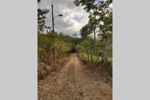 Gallery image of The Calm House in Turrialba