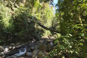 Gallery image of The Calm House in Turrialba