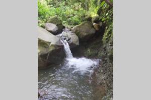 Gallery image of The Calm House in Turrialba +14 photos