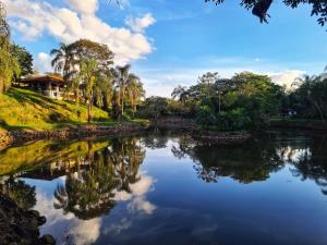 einen Fluss mit Palmen und ein Haus im Hintergrund in der Unterkunft Sossego e aconchego ao lado do INHOTIM in Brumadinho