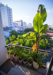 Balkon oz. terasa v nastanitvi Kon-Tiki DaNang Hostel
