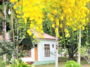 una pequeña casa frente a un árbol con flores amarillas en Tang Thanh Phat Resort, en Phu Quoc