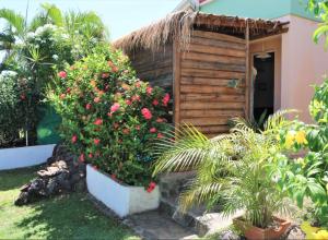 Zahrada ubytování Complexe La Providencia - Villa, Duplex, Studio, jacuzzi