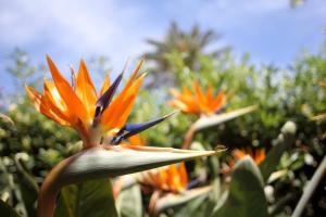 Gallery image of VILLA LEA in Mondello