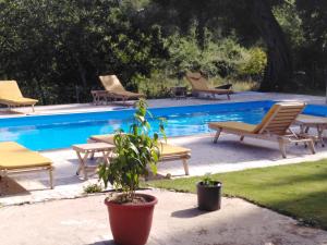 a pool with lounge chairs and a plant next to it at Ilias Apartments in Ýpsos