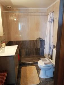 a bathroom with a toilet and a shower at Endless Blue Apartments in Keratokampos