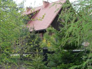 Krempna的住宿－Salamandra，一座红屋顶的房子,四周环绕着树木