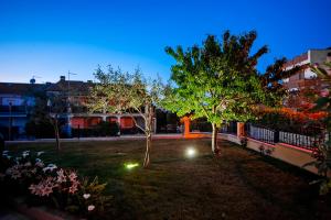 a yard with two trees and lights in the grass at Apartments Euphemia in Rovinj