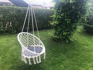 a white chair with a flower pot in a yard at Apartma Bled in Bled