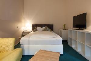 TV a/nebo společenská místnost v ubytování Hotel Am Grudenberg