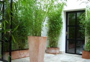 Φωτογραφία από το άλμπουμ του Hôtel Tingis στο Παρίσι +8 φωτογραφίες