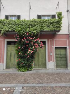 a building with a bush with pink flowers on it at Secret Garden Mandello in Mandello del Lario