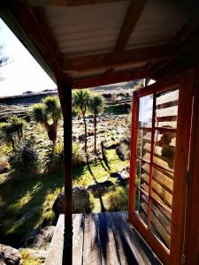 a view of a porch with a window and palm trees at Manaaki Mai, Rustic Retreat Bush Cabin in Christchurch