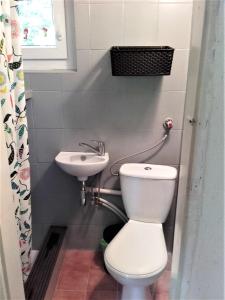 a bathroom with a toilet and a sink at EKO - Domek jezioro Steszewko in Stęszewko +28 photos